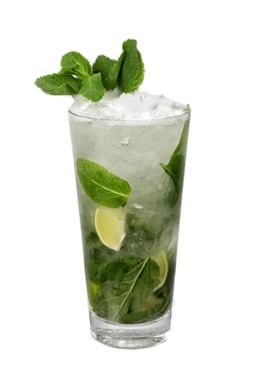 MOJITO