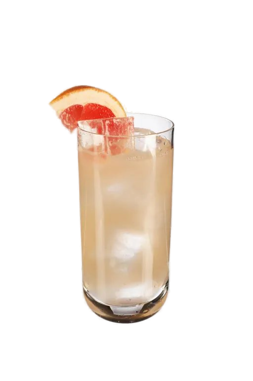 Paloma