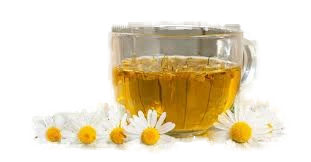 Camomile
